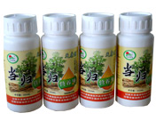 當歸營養液(yè)