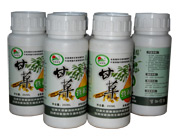 甘(gān)草營養液